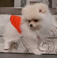 processed/213eea17-7240-495a-a243-9e20d758f6c0/facility/12de1441-ac54-4a0b-934c-0478e25a3192