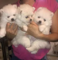 processed/213eea17-7240-495a-a243-9e20d758f6c0/facility/288217d2-f6ad-460b-9e97-c5198e9d8955