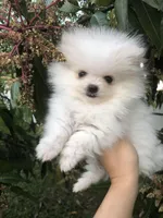 processed/213eea17-7240-495a-a243-9e20d758f6c0/facility/2c3c859b-a9ce-43ba-9a8b-d38bafe24357