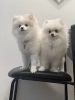 processed/213eea17-7240-495a-a243-9e20d758f6c0/facility/2f84462b-e2ca-48ab-ac35-79529f4ae775