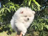 processed/213eea17-7240-495a-a243-9e20d758f6c0/facility/681b6557-50eb-42a1-b8c7-ba805d358ee2