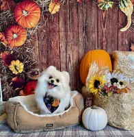 processed/213eea17-7240-495a-a243-9e20d758f6c0/facility/69b349f5-6a92-4ffe-bc69-963399744dac