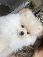 processed/213eea17-7240-495a-a243-9e20d758f6c0/facility/8ae8074b-8a85-4739-a42a-2645f80c3b73