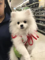 processed/213eea17-7240-495a-a243-9e20d758f6c0/facility/db2d6b42-fc31-49f8-9307-14b2a63817b8