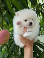 processed/213eea17-7240-495a-a243-9e20d758f6c0/facility/de486476-496c-4960-a4f9-f2d76ffac2b1