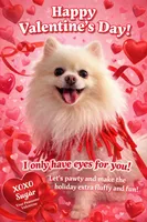 Anastasia , a female Pomeranian for sale in Haines City, FL – Photo 5 of 9