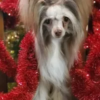 processed/2146f4c5-2856-4a4b-baca-aa2bba8389a1/facility/23ea6295-c07d-47b2-aca8-558d26a9eee7