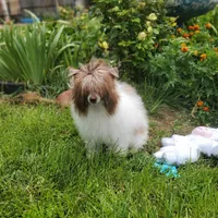 processed/2146f4c5-2856-4a4b-baca-aa2bba8389a1/facility/826f29cf-01d7-4923-aa17-abe566719993