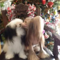 processed/2146f4c5-2856-4a4b-baca-aa2bba8389a1/facility/c588a67c-a91a-47dc-802e-0983fcb8c3ff