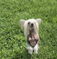 processed/2146f4c5-2856-4a4b-baca-aa2bba8389a1/listing/029d3ddf-67a8-4555-891a-d4d1977a4aef/2387a253-012a-40fb-9977-525bd3f71998