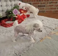 processed/2146f4c5-2856-4a4b-baca-aa2bba8389a1/listing/029d3ddf-67a8-4555-891a-d4d1977a4aef/796c8a98-dd6d-4cb8-adc6-9d069d3c76bc