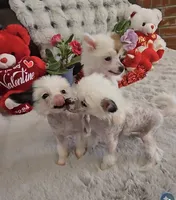 processed/2146f4c5-2856-4a4b-baca-aa2bba8389a1/listing/029d3ddf-67a8-4555-891a-d4d1977a4aef/7deef46c-6d83-436b-92c9-0f39e71aecff