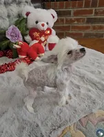 processed/2146f4c5-2856-4a4b-baca-aa2bba8389a1/listing/029d3ddf-67a8-4555-891a-d4d1977a4aef/e4044626-e3cc-46ab-a53a-b525bc381de5