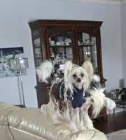 processed/2146f4c5-2856-4a4b-baca-aa2bba8389a1/listing/029d3ddf-67a8-4555-891a-d4d1977a4aef/e4799dcc-65f5-4dd5-b131-7282128b8c8c