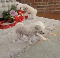 processed/2146f4c5-2856-4a4b-baca-aa2bba8389a1/listing/029d3ddf-67a8-4555-891a-d4d1977a4aef/f7211483-b2a6-487b-991e-af33b8096023