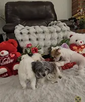 processed/2146f4c5-2856-4a4b-baca-aa2bba8389a1/listing/82368af2-7369-44c5-bf61-d51978ca7113/0fb8fe3b-0a29-46fa-a910-0d45e8a02a04