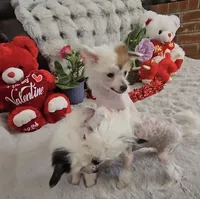 processed/2146f4c5-2856-4a4b-baca-aa2bba8389a1/listing/82368af2-7369-44c5-bf61-d51978ca7113/54567e73-4aca-4cc4-858b-ca687cc72ecb