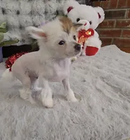 processed/2146f4c5-2856-4a4b-baca-aa2bba8389a1/listing/82368af2-7369-44c5-bf61-d51978ca7113/5792800f-07fe-492b-b3b5-30ce21374b8b