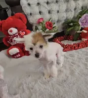 processed/2146f4c5-2856-4a4b-baca-aa2bba8389a1/listing/82368af2-7369-44c5-bf61-d51978ca7113/65e03b36-3edc-4eb5-9d52-2519c9d6dcd1