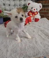 processed/2146f4c5-2856-4a4b-baca-aa2bba8389a1/listing/82368af2-7369-44c5-bf61-d51978ca7113/6f8ca234-4748-4a93-afde-6d0235ddb55c