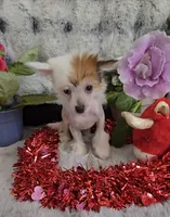 processed/2146f4c5-2856-4a4b-baca-aa2bba8389a1/listing/82368af2-7369-44c5-bf61-d51978ca7113/7365ee40-4280-4c8d-8028-3a39c3b8561b