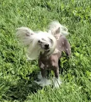 processed/2146f4c5-2856-4a4b-baca-aa2bba8389a1/listing/82368af2-7369-44c5-bf61-d51978ca7113/bc4b980d-5e2d-4f97-94b3-c97db226d9d3