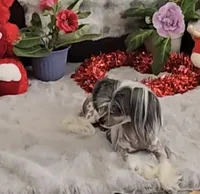 processed/2146f4c5-2856-4a4b-baca-aa2bba8389a1/listing/82368af2-7369-44c5-bf61-d51978ca7113/d52cb759-1f89-43f8-a196-354564553b09