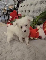 processed/2146f4c5-2856-4a4b-baca-aa2bba8389a1/listing/bb80ae2b-2464-4393-86de-47c9583e5cca/3eb8617f-63cd-4ae3-af38-fdf6546388a6