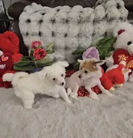 processed/2146f4c5-2856-4a4b-baca-aa2bba8389a1/listing/bb80ae2b-2464-4393-86de-47c9583e5cca/5c39b5b2-764a-4470-9999-7d85bc294657