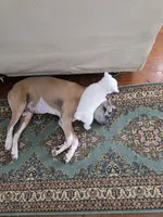 processed/2146f4c5-2856-4a4b-baca-aa2bba8389a1/listing/bb80ae2b-2464-4393-86de-47c9583e5cca/605381ee-ea98-4c27-bc87-767113f3d062