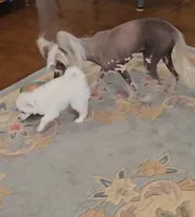 processed/2146f4c5-2856-4a4b-baca-aa2bba8389a1/listing/bb80ae2b-2464-4393-86de-47c9583e5cca/83fb2b0d-2db3-4086-a14f-b60024bf301d