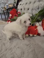 processed/2146f4c5-2856-4a4b-baca-aa2bba8389a1/listing/bb80ae2b-2464-4393-86de-47c9583e5cca/8cf832c5-4571-410c-8559-b66eca8ae065