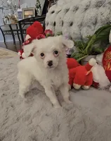 processed/2146f4c5-2856-4a4b-baca-aa2bba8389a1/listing/bb80ae2b-2464-4393-86de-47c9583e5cca/a687ed6b-c6fd-4e18-8ee4-69f149a82ea2