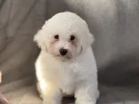 processed/214cecf5-4d1b-420c-ae01-e439d09a5d13/listing/e463bc36-b695-45dd-8c48-173640224e09/7f6f78fd-69db-4d03-a7a6-6cae0219b5a9