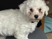 processed/214cecf5-4d1b-420c-ae01-e439d09a5d13/listing/e463bc36-b695-45dd-8c48-173640224e09/b91c5627-0c87-4a37-a940-4fdff5a9d90e