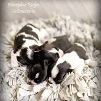 processed/214f009f-1772-4fdc-95f9-400d9498d199/facility/0a5809b8-dbf1-4e2d-8227-1a1e1bfdb16f