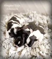 processed/214f009f-1772-4fdc-95f9-400d9498d199/facility/0a5809b8-dbf1-4e2d-8227-1a1e1bfdb16f