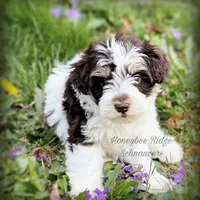 processed/214f009f-1772-4fdc-95f9-400d9498d199/facility/27e1882f-1049-487c-863b-717555bf478e