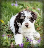 processed/214f009f-1772-4fdc-95f9-400d9498d199/facility/27e1882f-1049-487c-863b-717555bf478e