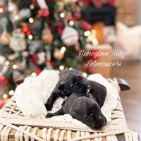 processed/214f009f-1772-4fdc-95f9-400d9498d199/facility/448019f4-1f0d-445e-b2f8-b75919215073