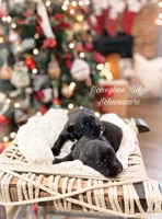 processed/214f009f-1772-4fdc-95f9-400d9498d199/facility/448019f4-1f0d-445e-b2f8-b75919215073