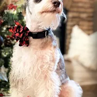 processed/214f009f-1772-4fdc-95f9-400d9498d199/facility/4e9b6f15-5c2f-4586-97aa-f4adb92d1b02