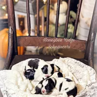 processed/214f009f-1772-4fdc-95f9-400d9498d199/facility/6812ba0c-5136-4262-98f3-9514d6b16d8c