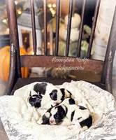 processed/214f009f-1772-4fdc-95f9-400d9498d199/facility/6812ba0c-5136-4262-98f3-9514d6b16d8c