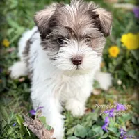 processed/214f009f-1772-4fdc-95f9-400d9498d199/facility/751d19fc-62fe-467a-9e04-c3660583cdc8