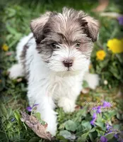 processed/214f009f-1772-4fdc-95f9-400d9498d199/facility/751d19fc-62fe-467a-9e04-c3660583cdc8