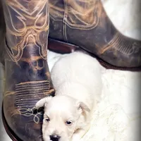 processed/214f009f-1772-4fdc-95f9-400d9498d199/facility/b4eb159b-870b-4bcb-9e6d-015854644680