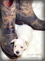 processed/214f009f-1772-4fdc-95f9-400d9498d199/facility/b4eb159b-870b-4bcb-9e6d-015854644680