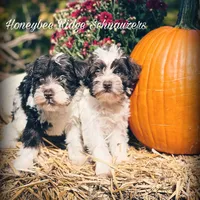 processed/214f009f-1772-4fdc-95f9-400d9498d199/facility/c88d0f2e-57a4-4f3f-a3c9-d5ef7cb607b2