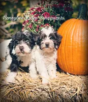 processed/214f009f-1772-4fdc-95f9-400d9498d199/facility/c88d0f2e-57a4-4f3f-a3c9-d5ef7cb607b2